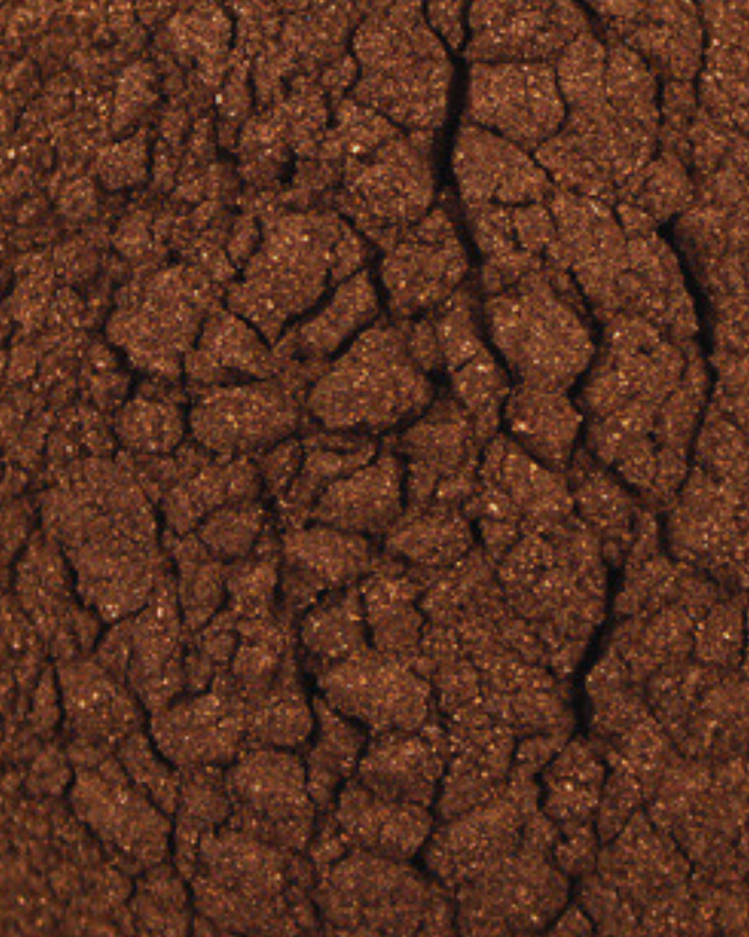 Black Walnut Hull Powder