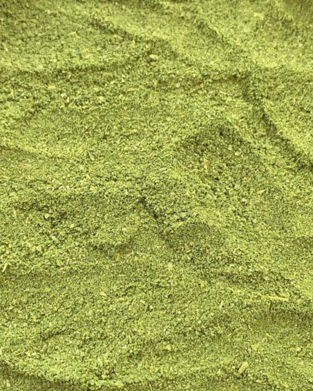 Moringa Powder