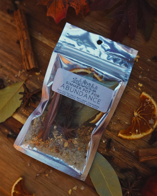 Abundance Simmer Pot