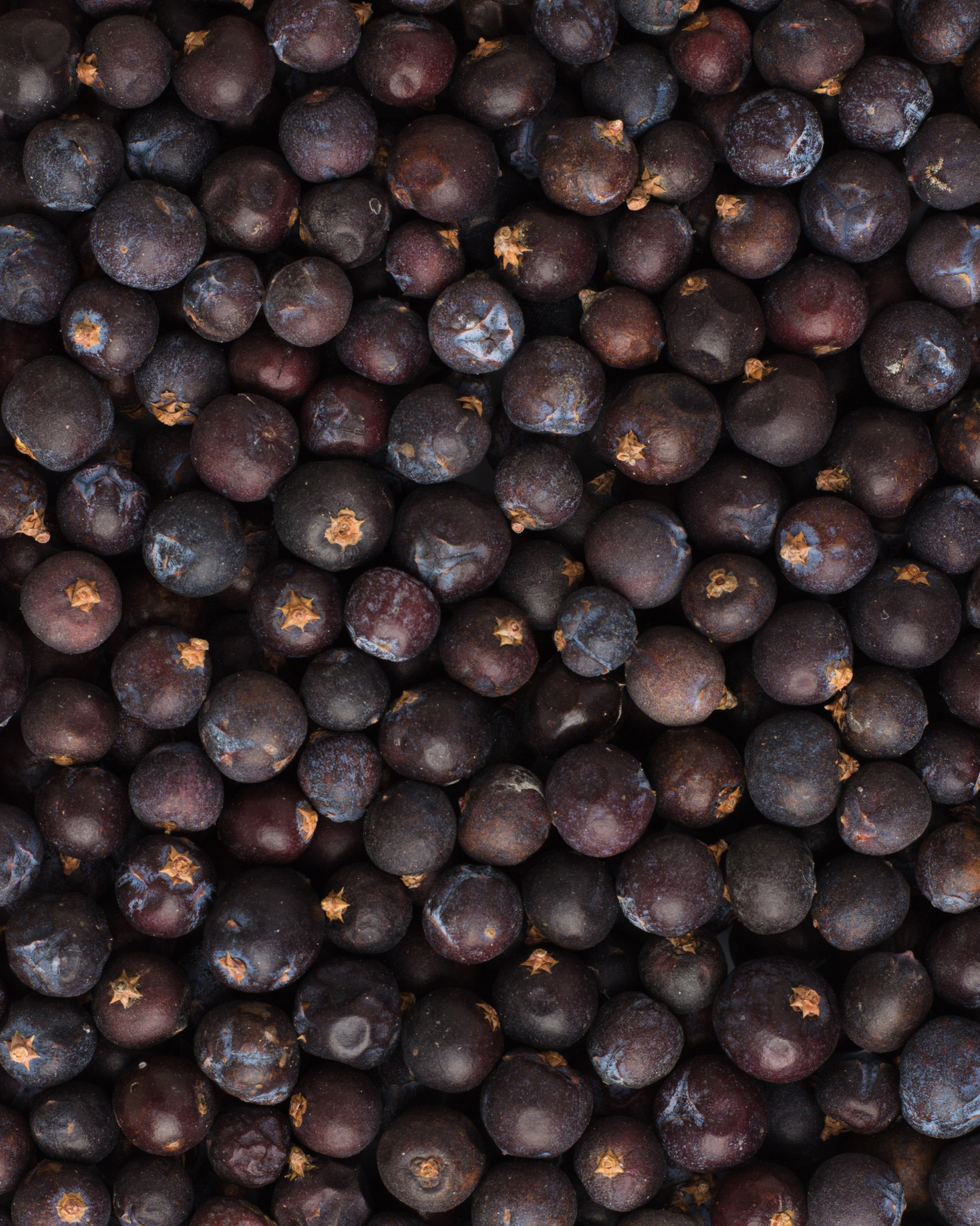 Juniper Berries