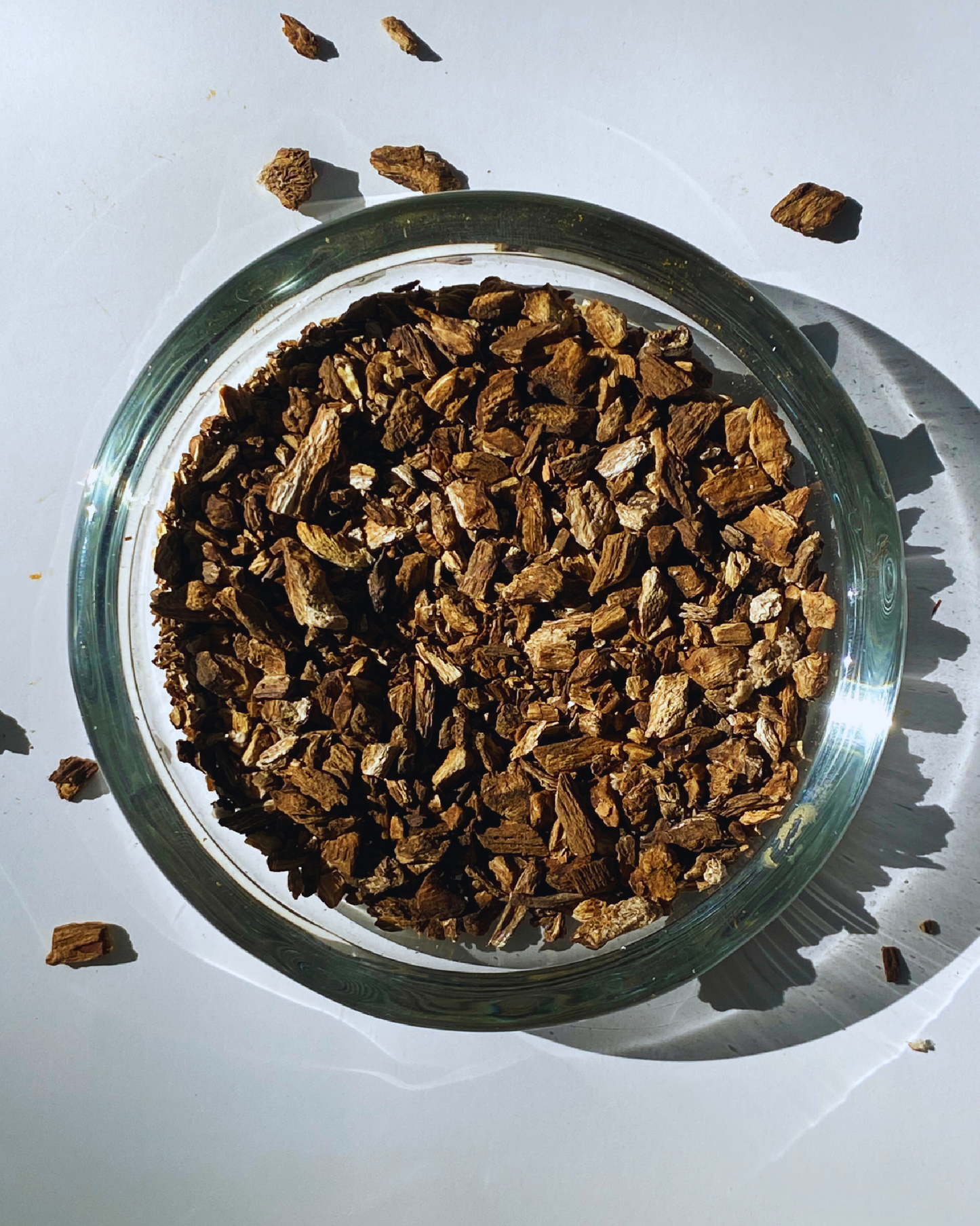 Burdock Root