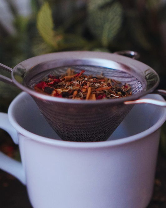 Double-Ear Conical Tea Strainer (3in)