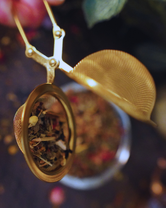 Gold Mesh Snap Tea Infuser (2in)