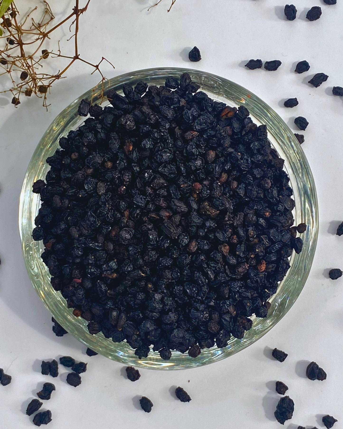 Elderberry