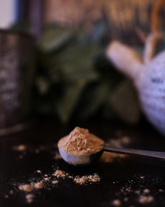 Gelatinzed Maca (Powder)