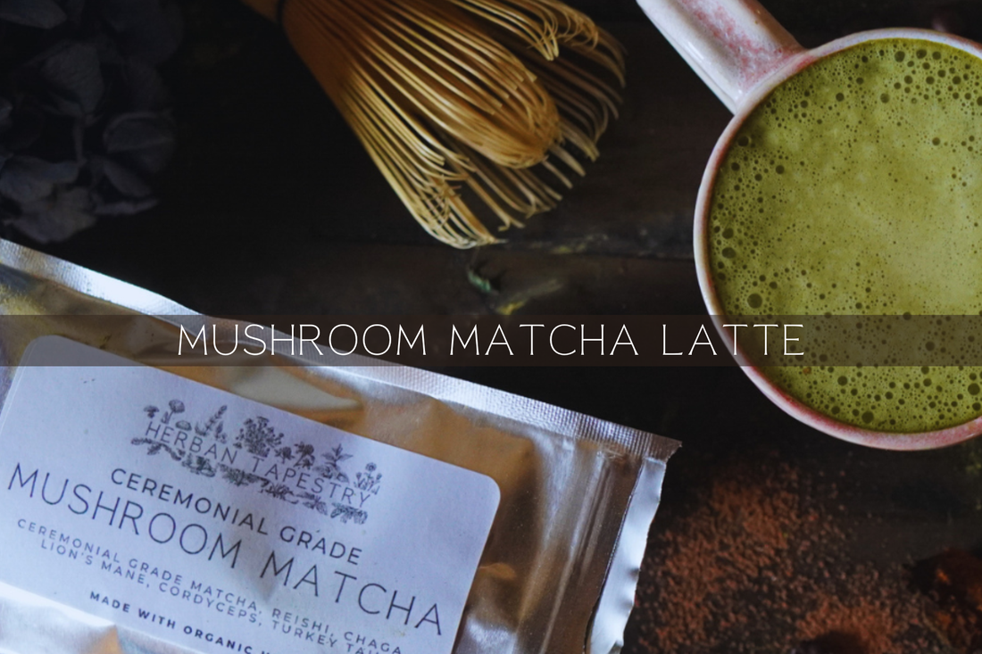 Mushroom Matcha Latte