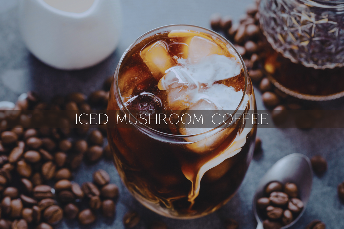 Iced Mushroom Coffee