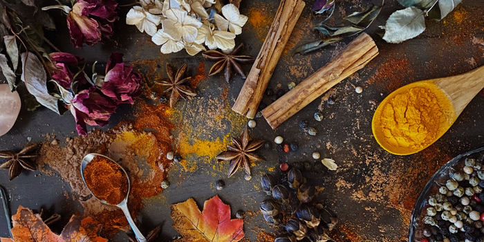 Fall Collection