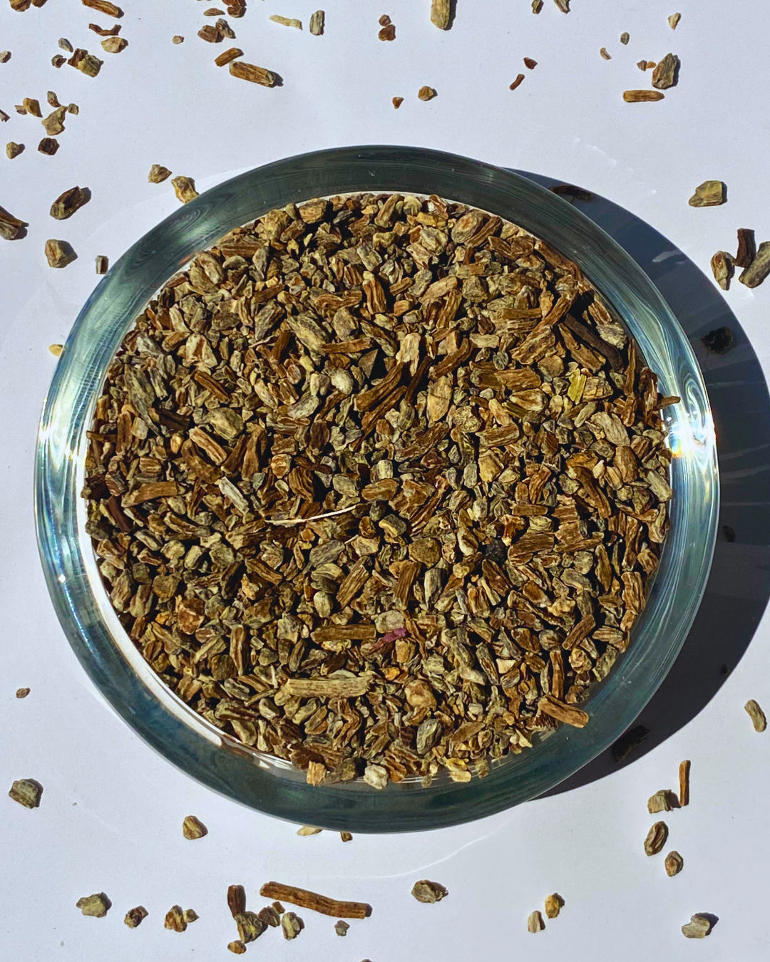 Echinacea Root