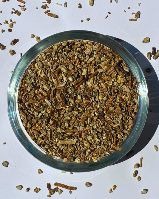 Echinacea Root