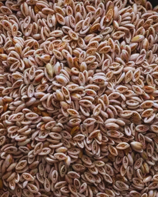 Psyllium Seed (Whole)