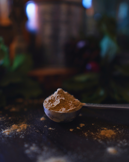 Resilience - Five Mushroom Mix