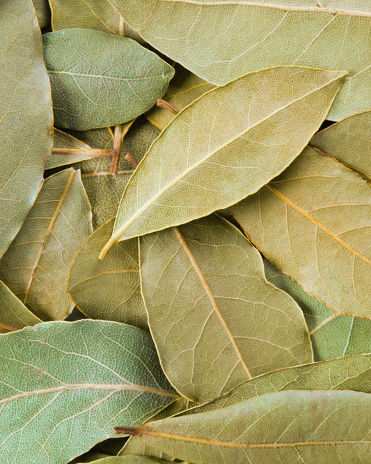 Bay Leaf