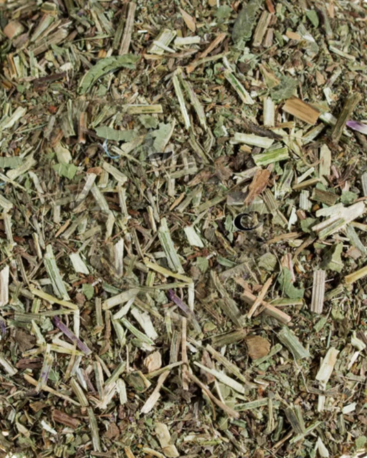 Vervain