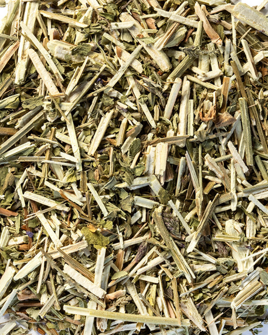 Blue Vervain