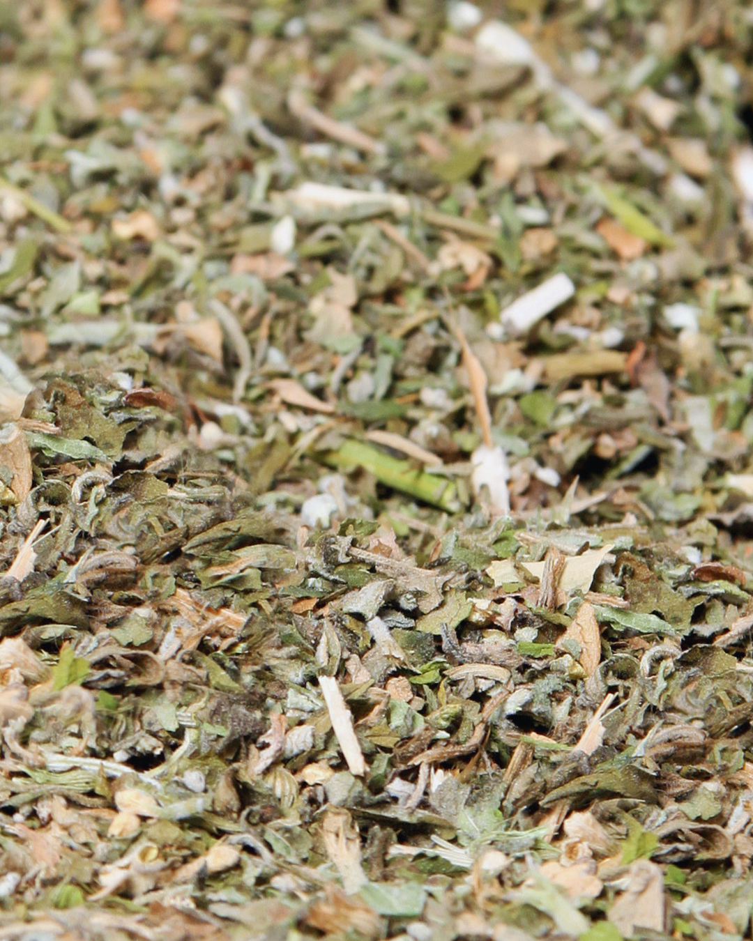 Catnip