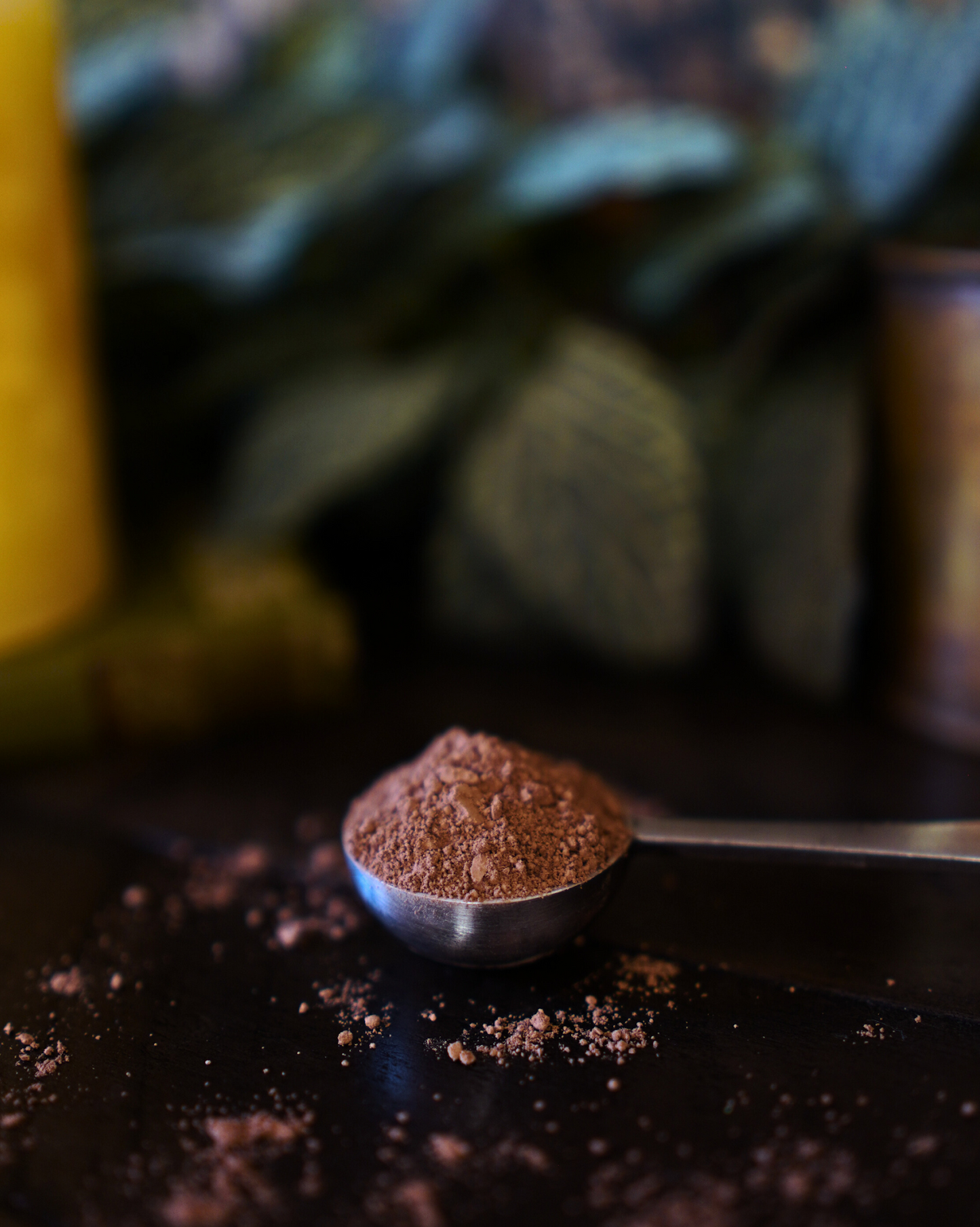 Cacao (Powder)